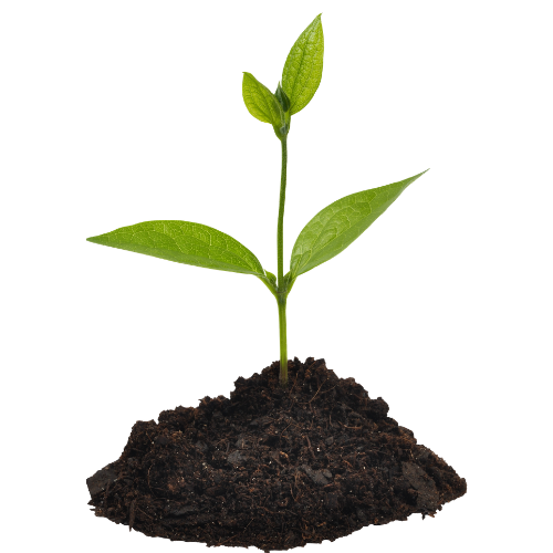 Soils