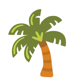 Areca Palm Outdoor Plant