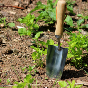 Premium Stainless Steel Gardening Tool Kit (3-Piece)